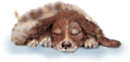 perro-155.gif