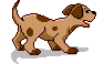 perro-160.gif
