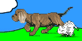 perro-169.gif