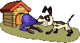 perro-170.gif