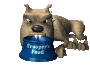 perro-185.gif