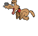 perro-187.gif