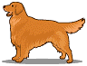 perro-199.gif