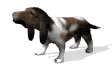 perro-208.gif