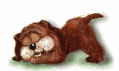 perro-209.gif