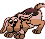 perro-212.gif