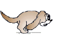 perro-213.gif