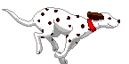 perro-214.gif
