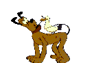 perro-220.gif