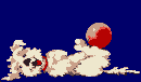 perro-227.gif