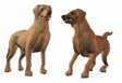 perro-231.gif