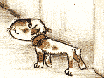 perro-234.gif