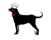 perro-239.gif