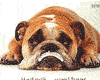 perro-249.gif