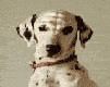 perro-268.gif