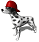 perro-283.gif