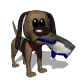 perro-286.gif