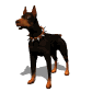 perro-287.gif
