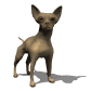 perro-288.gif
