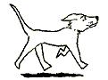perro-292.gif