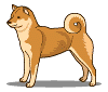 perro-293.gif
