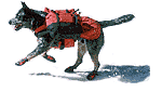 perro-295.gif