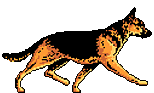 perro-296.gif
