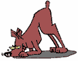 perro-300.gif