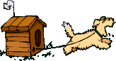 perro-301.gif