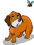 perro-312.gif