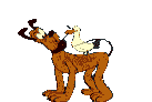 perro-313.gif