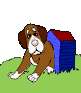 perro-315.gif
