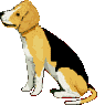 perro-320.gif