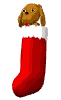 perro-328.gif