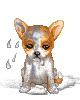 perro-332.gif