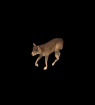 perro-349.gif