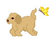 perro-350.gif