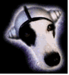 perro-356.gif