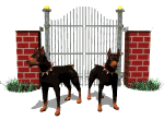 perro-360.gif