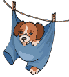 perro-361.gif