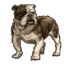 perro-368.gif