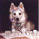 perro-387.gif