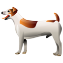 perro-404.png