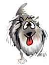 perro-424.jpg
