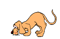 perro-425.gif