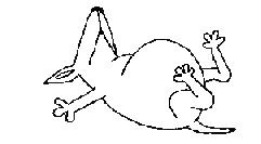perro-426.gif