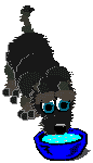 perro-440.gif