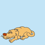 perro-449.gif