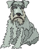 perro-457.jpg