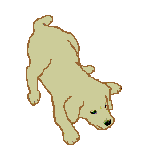 perro-460.gif